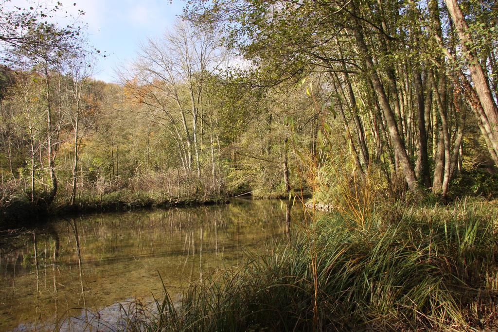 Les Jardins De L'Aulnaie Bed and Breakfast Fontaine-sous-Jouy Εξωτερικό φωτογραφία