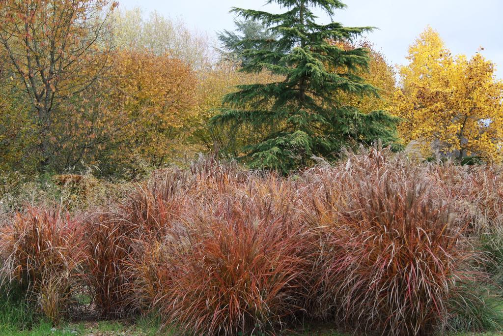 Les Jardins De L'Aulnaie Bed and Breakfast Fontaine-sous-Jouy Εξωτερικό φωτογραφία